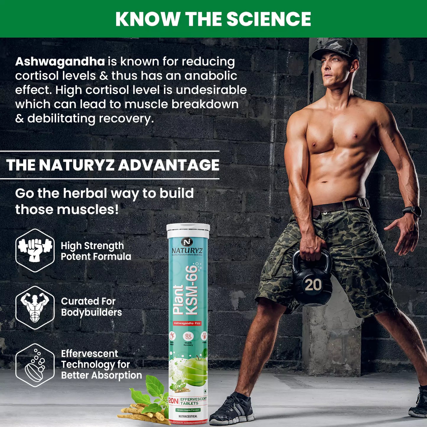 Plant KSM-66 For Muscle Recovery & Relieve Stress (Green Apple Flavour) - 20 Tablets