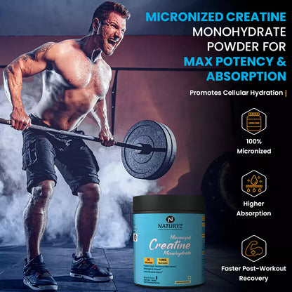 Micronized Creatine Monohydrate 3G Creatine | 10 MG Quercetin (Unflavoured)