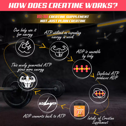 Creatine X7 Ideal Post Workout Supplement With Power of 7 Blends & Matrix (MixFruit Cocktail)