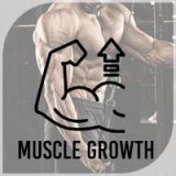 muscle growth