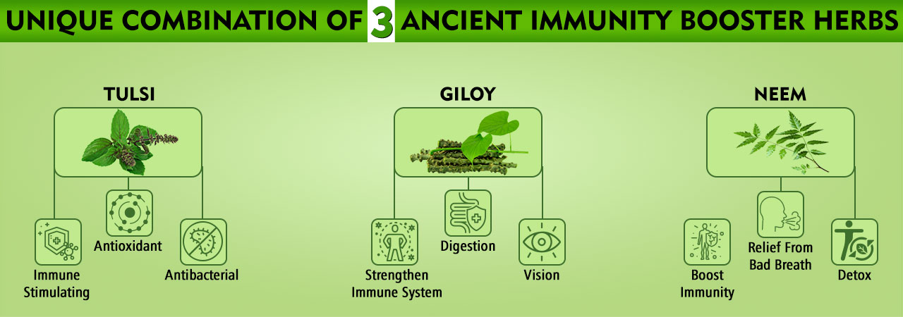 3 ancient immunity booster herbs